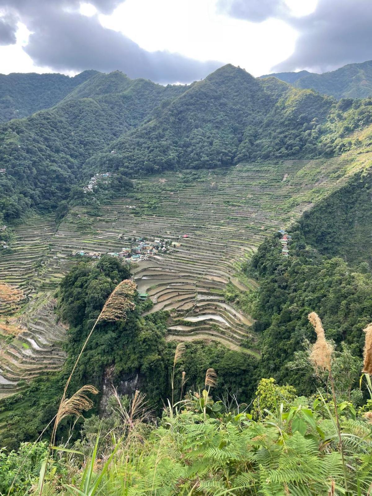 Batad Pension And Restaurant بناو المظهر الخارجي الصورة