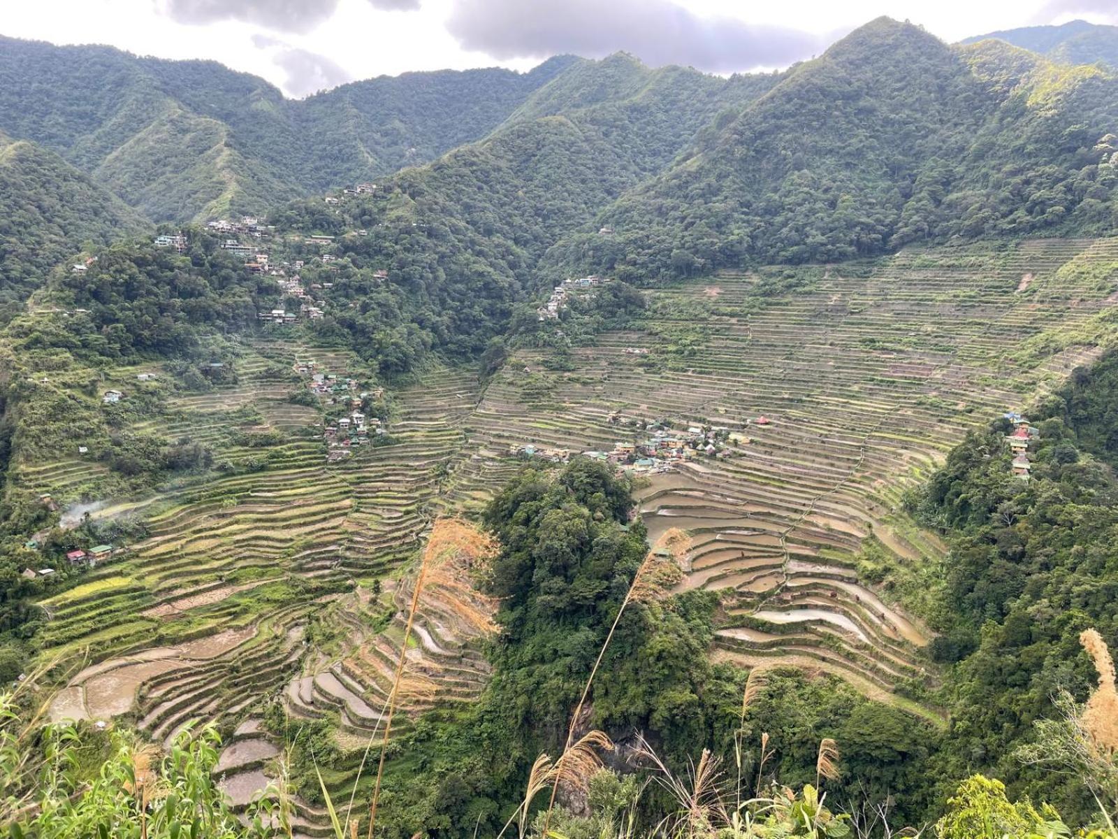 Batad Pension And Restaurant بناو المظهر الخارجي الصورة