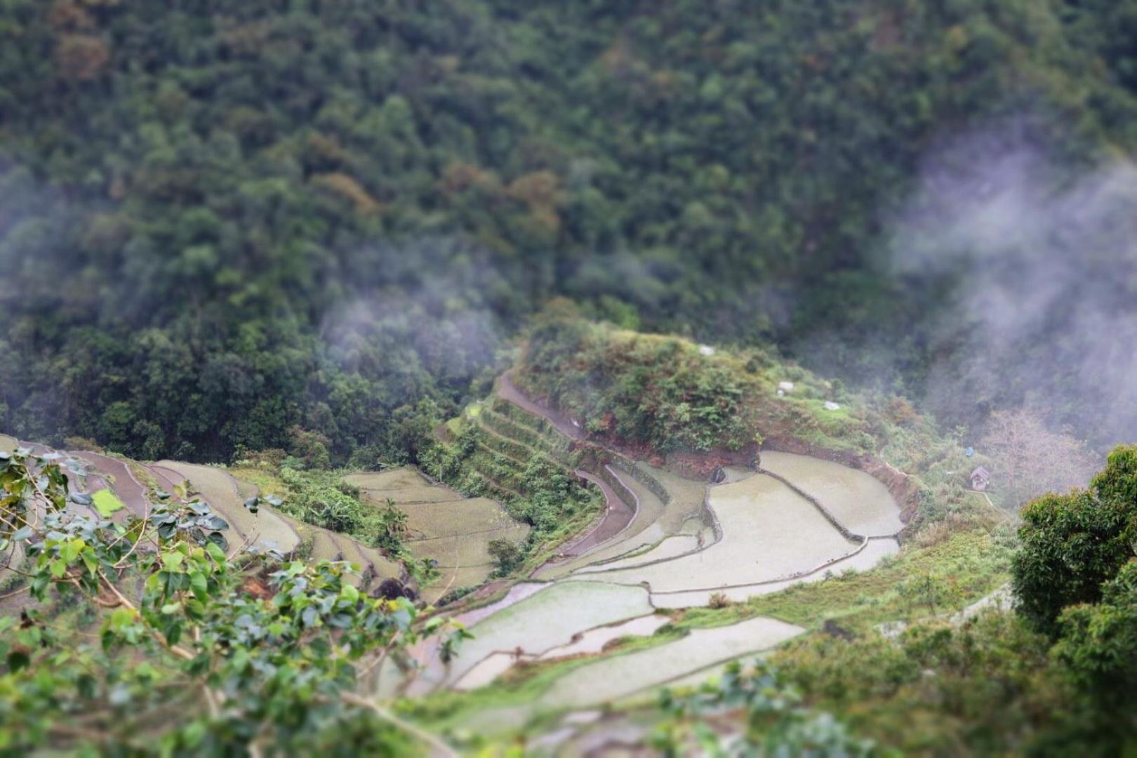 Batad Pension And Restaurant بناو المظهر الخارجي الصورة
