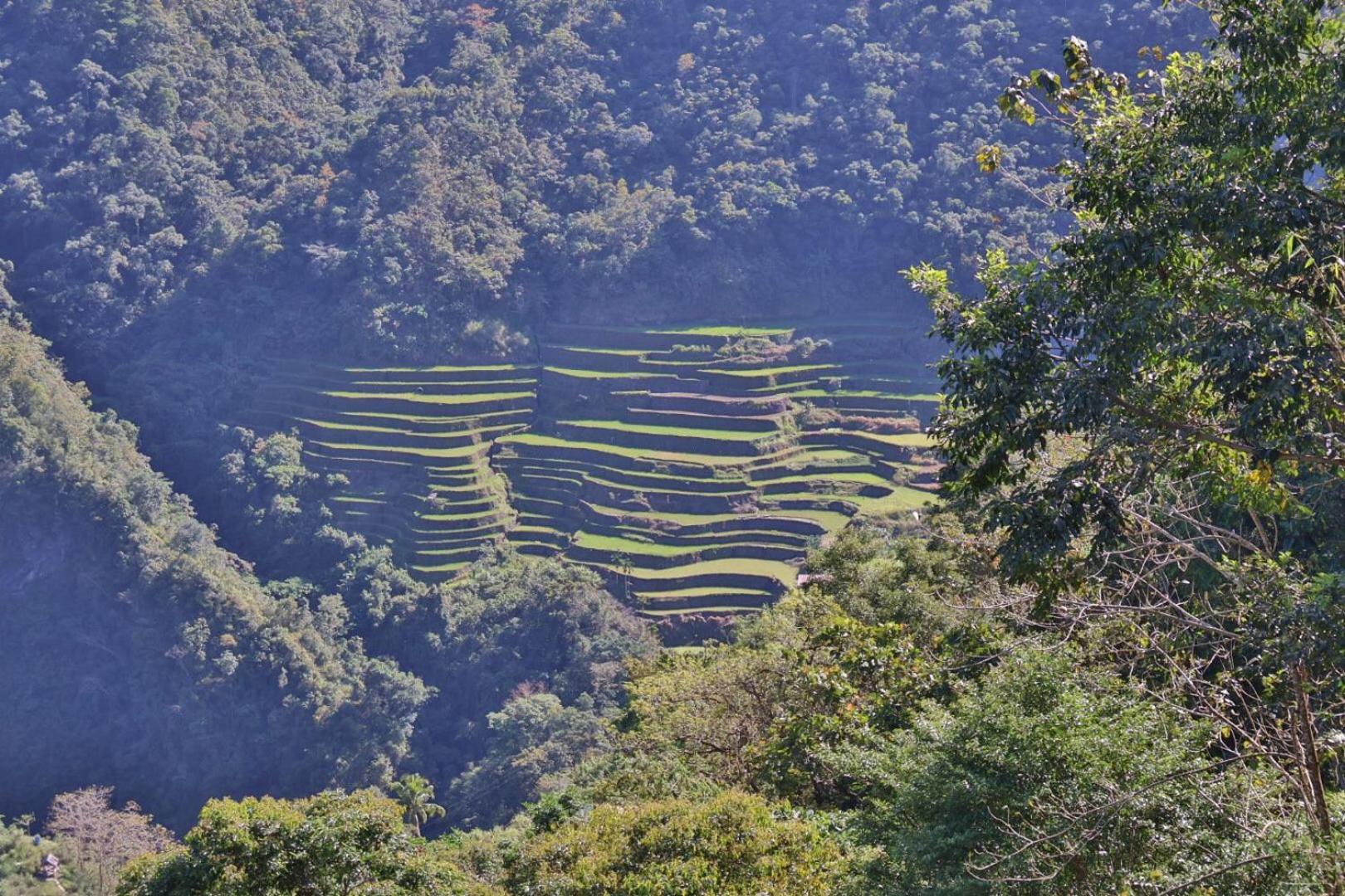 Batad Pension And Restaurant بناو المظهر الخارجي الصورة